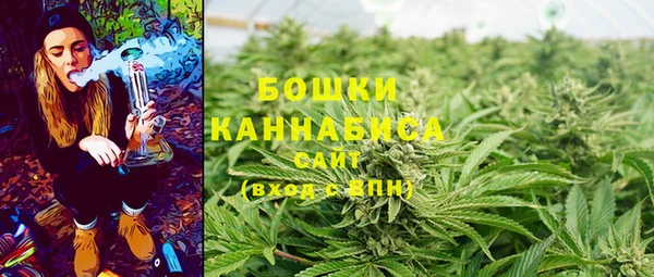 ешки Мегион