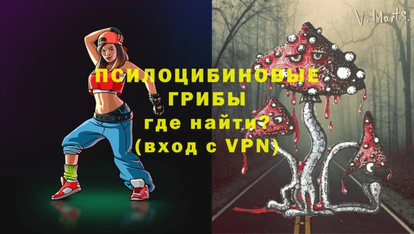 ешки Медвежьегорск