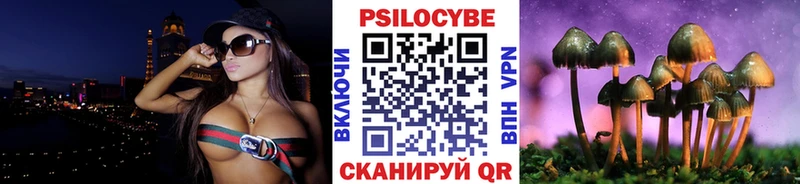 цены   Шали  Псилоцибиновые грибы GOLDEN TEACHER 